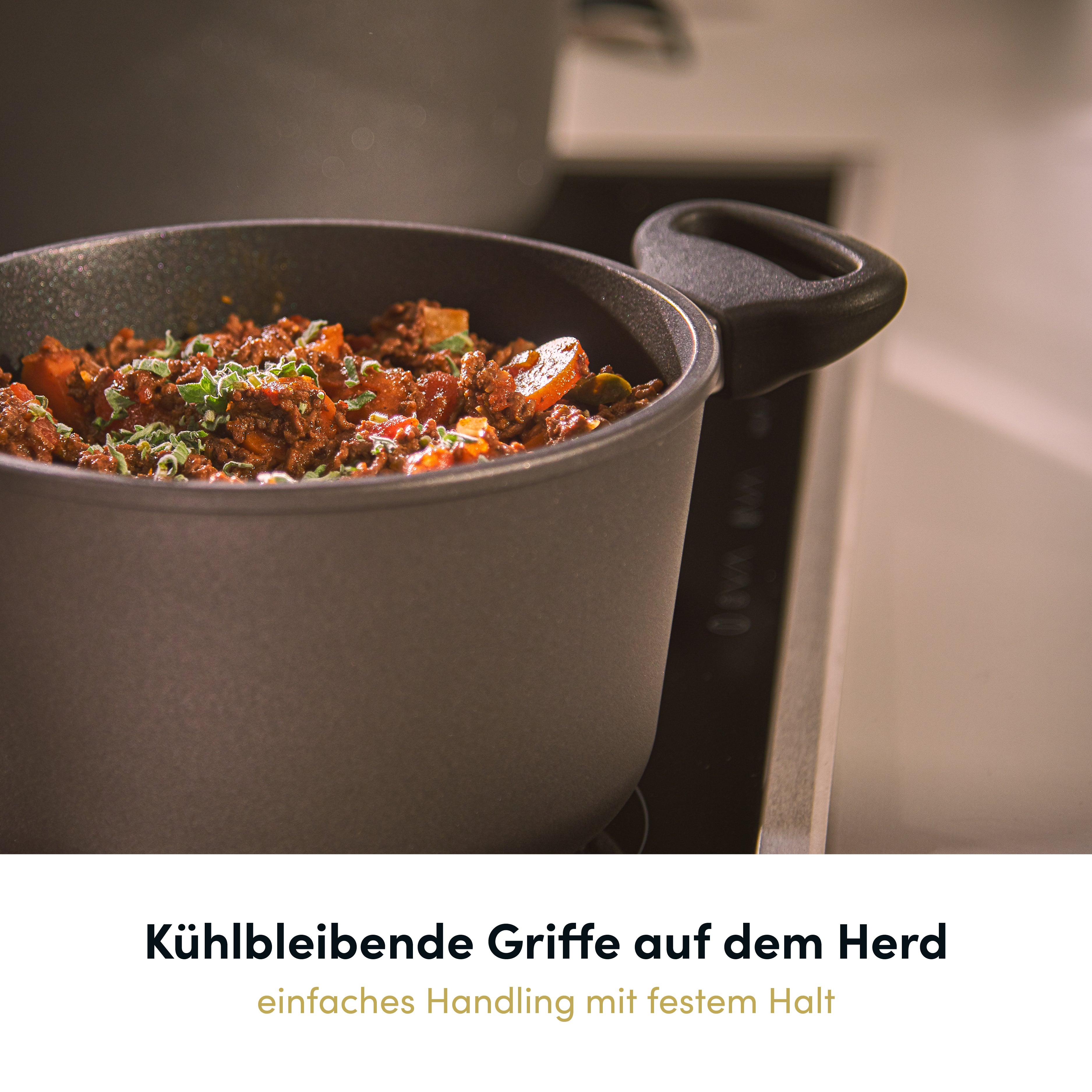 Kochtopf Ø 20-28 cm I Deckel optional